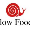Slow food - a healthy alternative to fast food and lifestyle