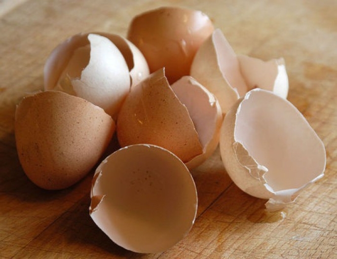 Eggshells - natural supplement